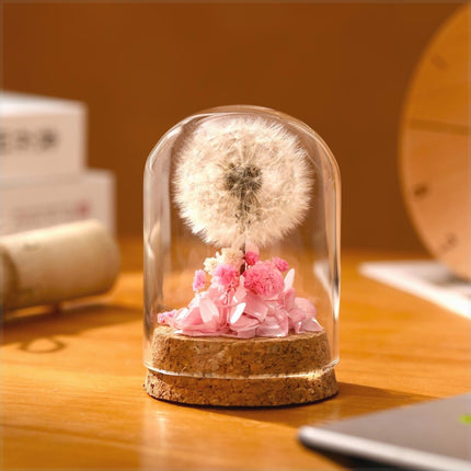 Dandelion Glass Dome Night Light | Botanical Mood Lamp Decor