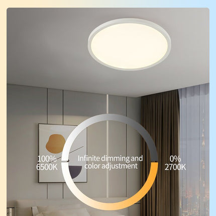 Modern Ceiling Light with Remote Control – 24W Round LED (29cm, White or Black Frame, 4 Styles)