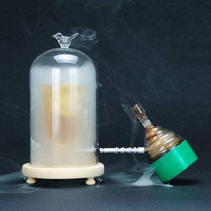 Acrylic Smoke Hood 🐦 – Wooden Base, Bird Handle