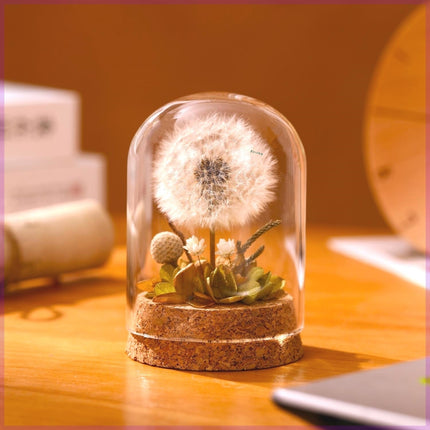 Dandelion Glass Dome Night Light | Botanical Mood Lamp Decor