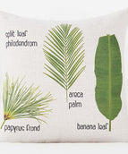 Fin leaves