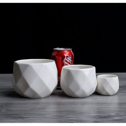 Flower Garden Polyhedron White Ceramic Flower Pot