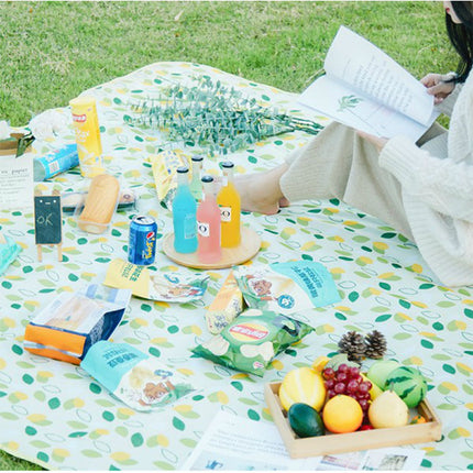 Waterproof Picnic Mat | Outdoor Camping & Picnic Blanket