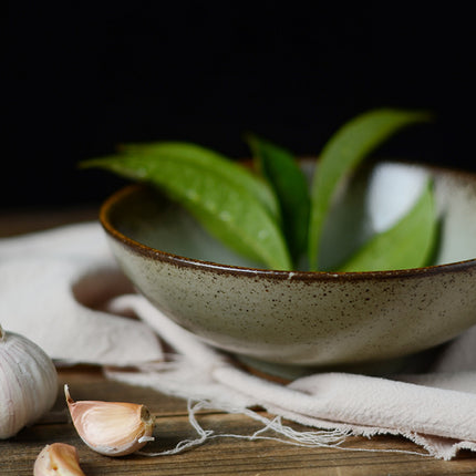 Handmade Japanese Clay Dishes 🍂 – Luxury Earthy Tableware