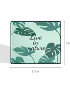 Green Palm Leaf
