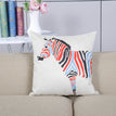 Colourful Zebra