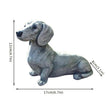 Long dog