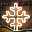 Snowflake 6