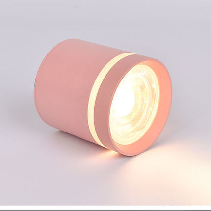Macaron LED Downlight – Colourful Ceiling & Aisle Spotlight | Ikeame