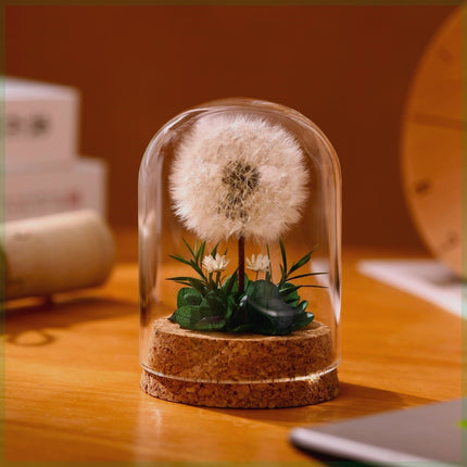 Dandelion Glass Dome Night Light | Botanical Mood Lamp Decor