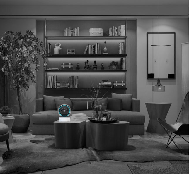 360° Indoor Wireless Surveillance Camera – Full HD 1080P Smart Security with Memory Options