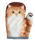 White belly orange tabby