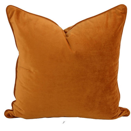 Modern luxurious and simple velvet pillow – Trendy & Practical for Daily Living