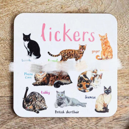 Funny Bird Pun Coasters Set | Novelty Drink Mats