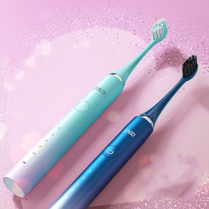 Rechargeable Electric Toothbrush with 5 Modes – 4 Brush Heads &a Travel Case