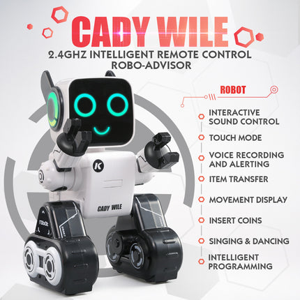Intelligent Remote Control Robot – Interactive Singing & Dancing | Ikeame