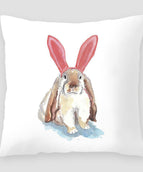 Rabbit 6
