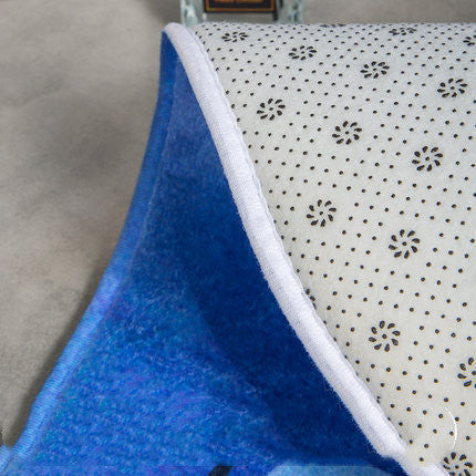 Water absorbing and antiskid mat for door