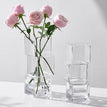 Pair - Transparent (L+S)
