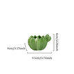 Succulent Basin