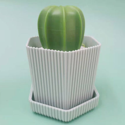 Pot Brush Cactus Nano Cleaner Ball