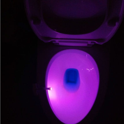 16 Colour LED Toilet Night Light – Pack of 2 | Motion-Activated
