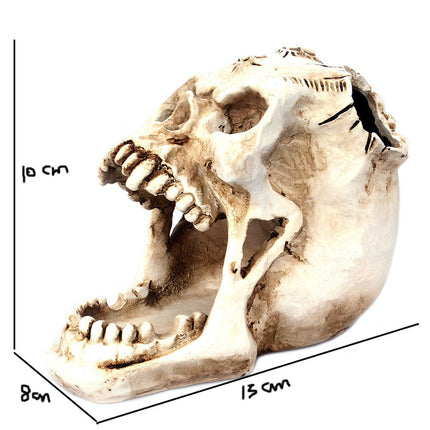 Vampire Skull Pen Holder – Gothic Desk Organiser with Fangs