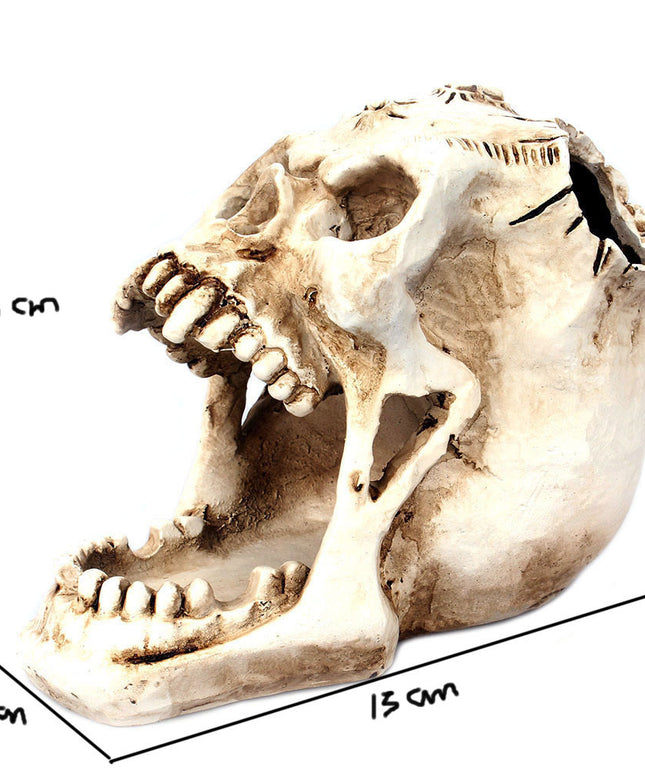 Vampire Skull Pen Holder – Gothic Desk Organiser with Fangs