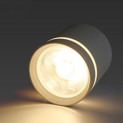 Macaron LED Downlight – Colourful Ceiling & Aisle Spotlight | Ikeame