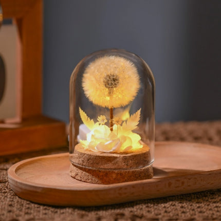 Dandelion Glass Dome Night Light | Botanical Mood Lamp Decor