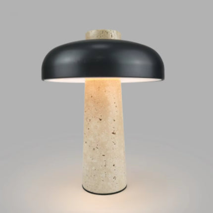 Alloy Desk Lamp