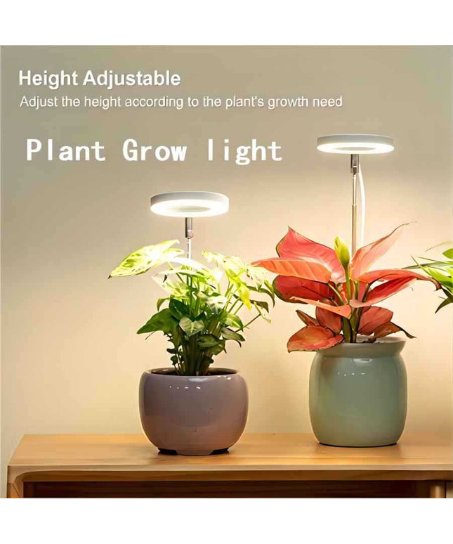 Timing Dimming Succulent Bonsai Plant Grow Light