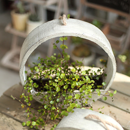 Wooden Flower Stand – Indoor & Outdoor | Tower or Round, Large or Small