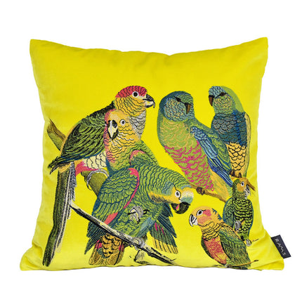 Luxury Parrot Embroidered Cushion – Deep Forest Green 🦜🌿