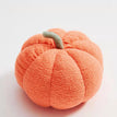 Peach Citrus