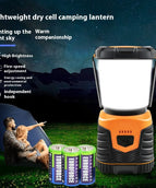 Dry Battery Orange