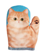 Orange tabby