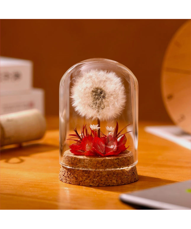 Dandelion Glass Dome Night Light | Botanical Mood Lamp Decor