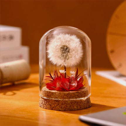 Dandelion Glass Dome Night Light | Botanical Mood Lamp Decor