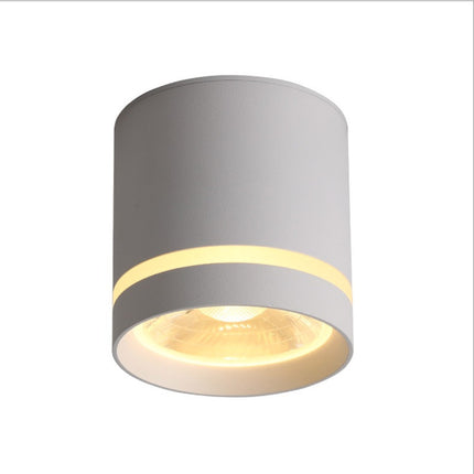 Macaron LED Downlight – Colourful Ceiling & Aisle Spotlight | Ikeame