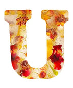 U
