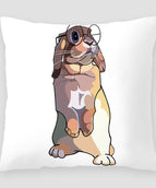 Rabbit 8