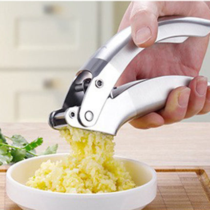 Stainless Steel Garlic Press 🧄 – Manual, Durable & Easy to Clean