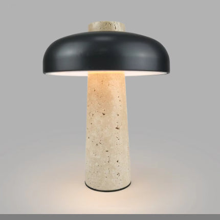 Alloy Desk Lamp