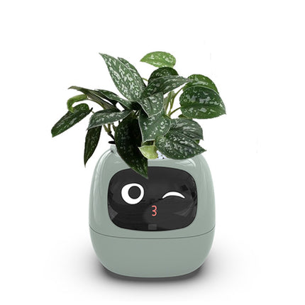 IVY Smart Planter AI Interactive Plant Pot with Expressions